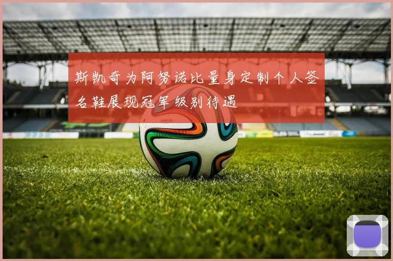 斯凯奇为阿努诺比量身定制个人签名鞋展现冠军级别待遇
