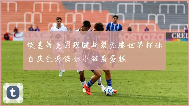埃基蒂克因跟腱断裂无缘世界杯独自庆生感伤如小猫看蛋糕