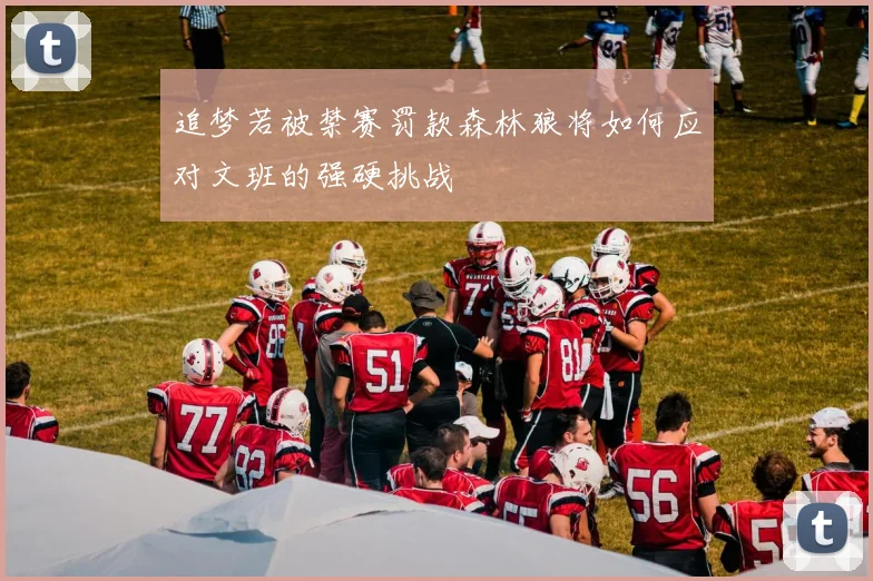 追梦若被禁赛罚款森林狼将如何应对文班的强硬挑战