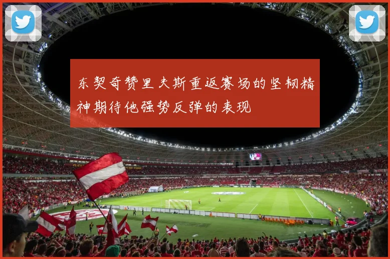 东契奇赞里夫斯重返赛场的坚韧精神期待他强势反弹的表现